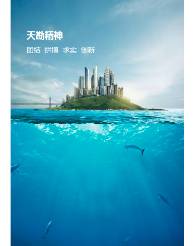 文化理念