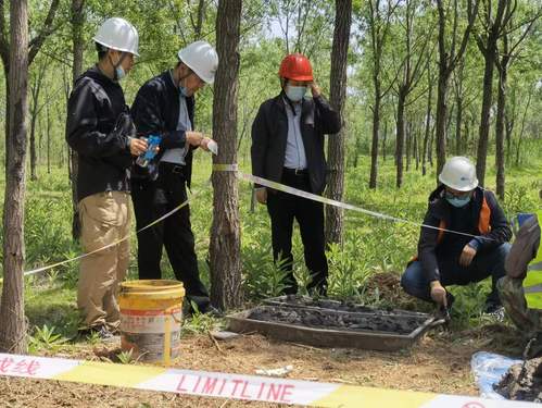 PP电子5金狮集团勘探咨询公司团支部荣获“2023年天津市五四红旗团支部”称呼
